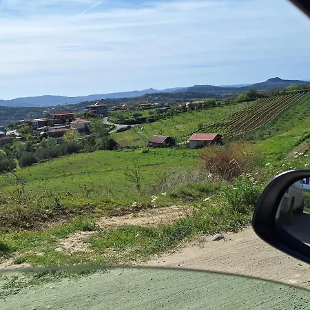 Vila Merkaj Vila *